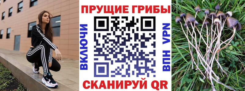 Псилоцибиновые грибы прущие грибы  Оха 